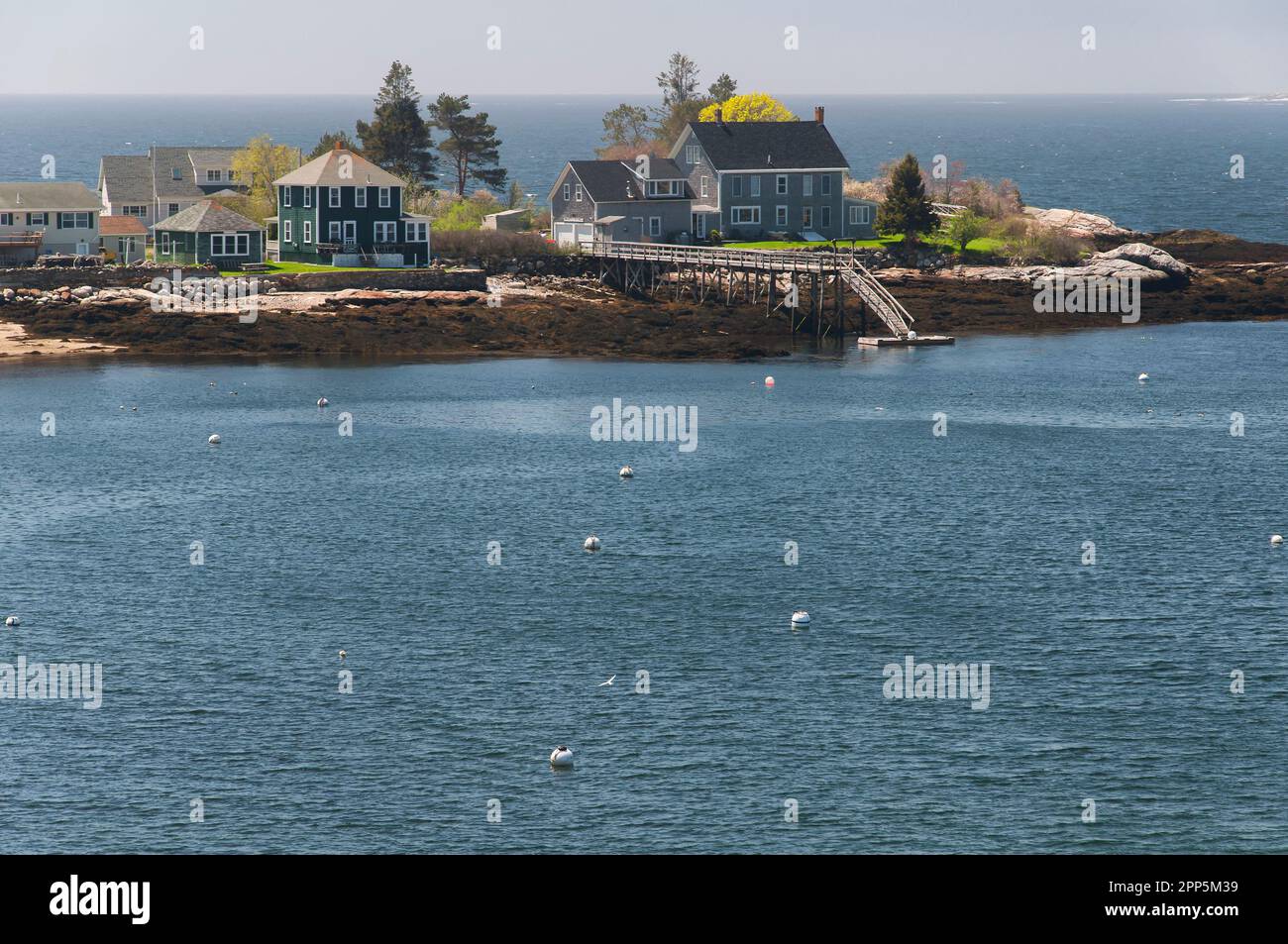 Waterfront homes on the pemaquid river at lowtide on a bay in New