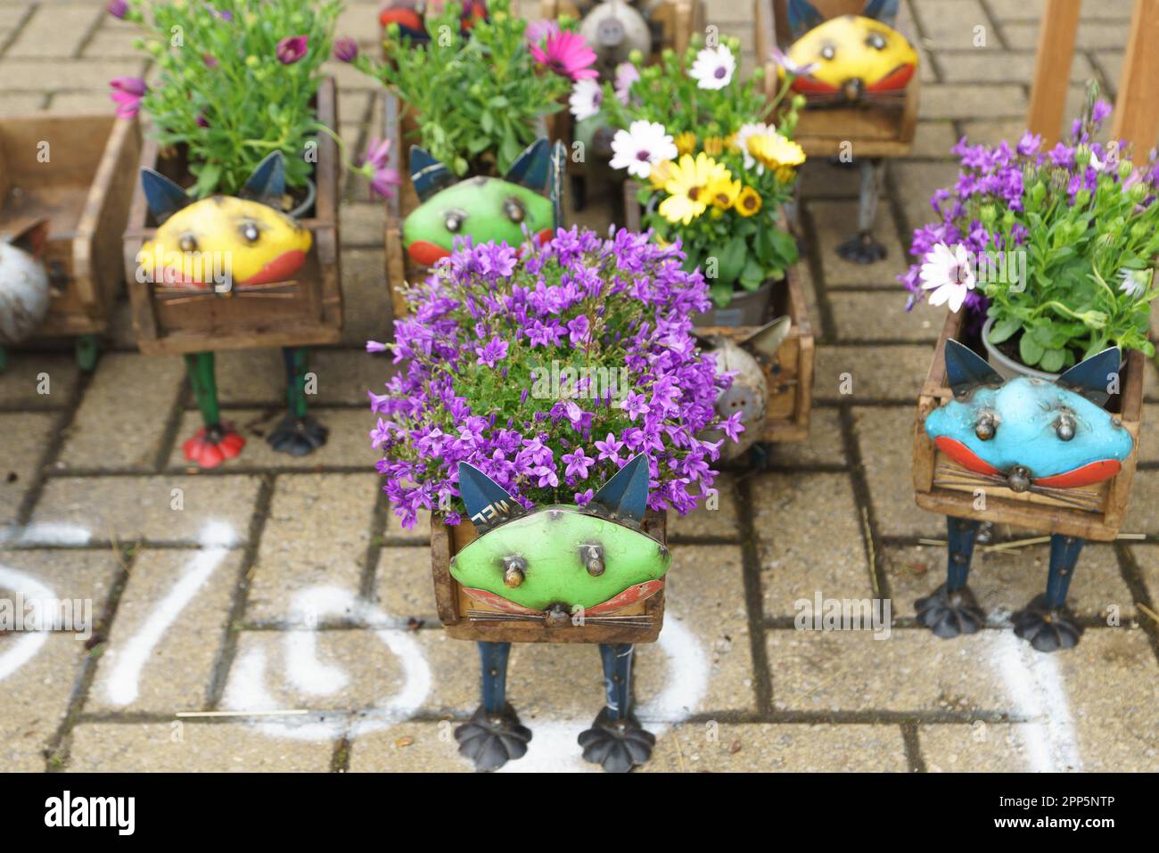 Harrogate, North Yorkshire, UK. 22nd Apr 2022. Harrogate Spring Flower