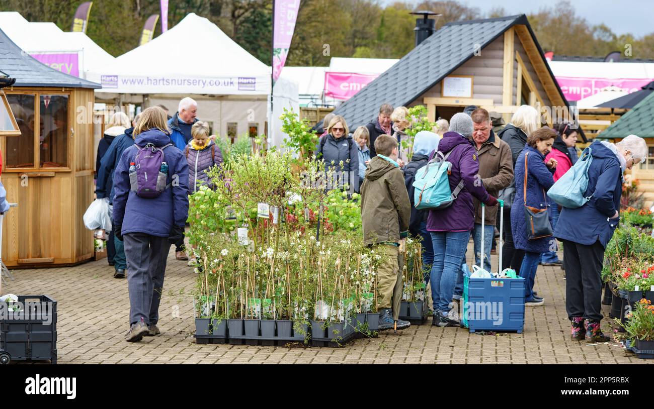 Harrogate, North Yorkshire, UK. 22nd Apr 2022. Harrogate Spring Flower