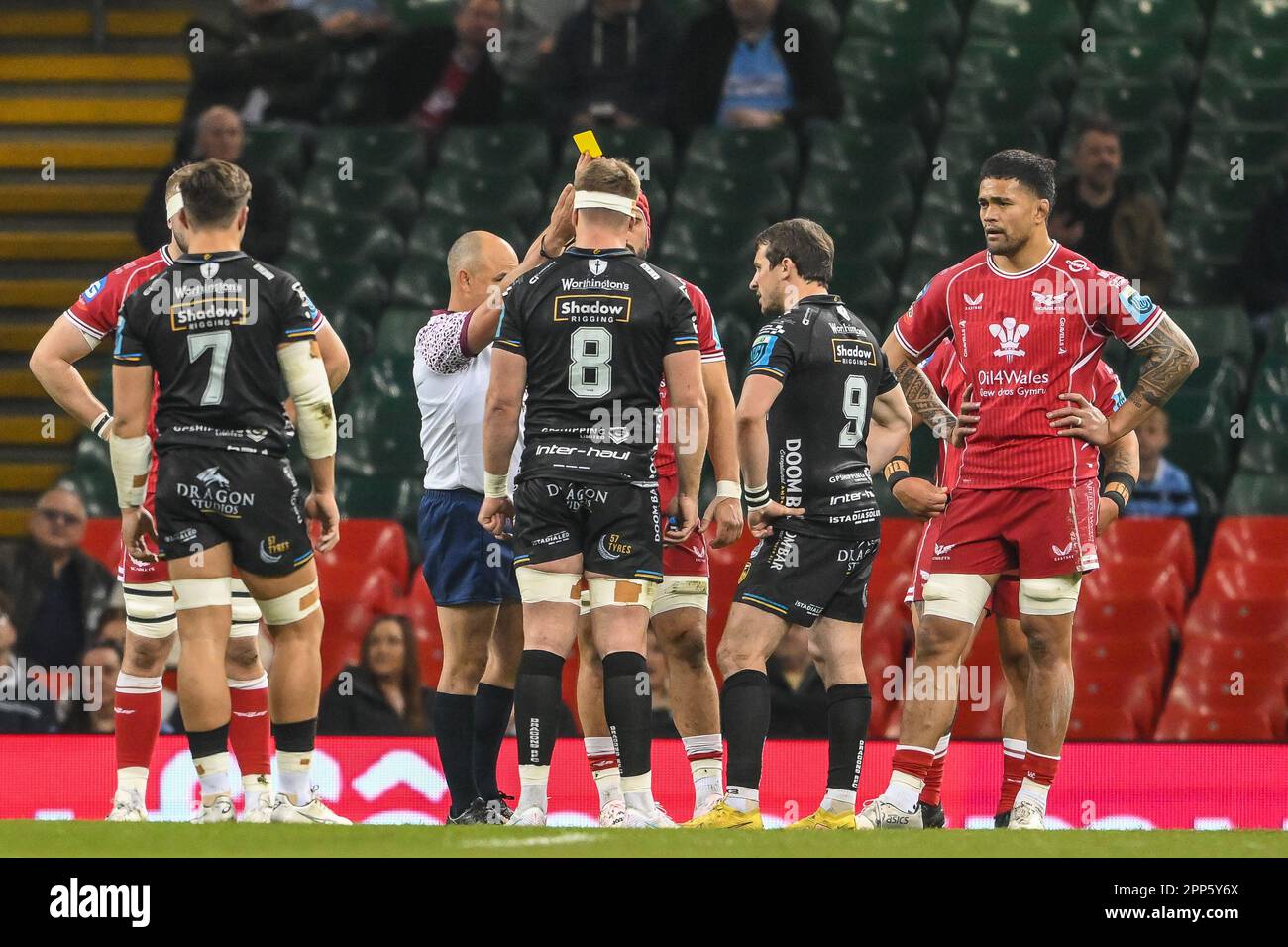 Yellow card rugby hires stock photography and images Alamy