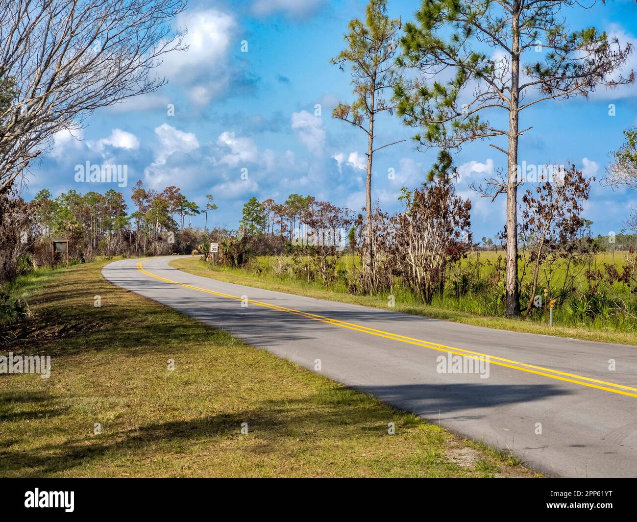 Mahogany Hammock Road in Everglades national Park in south Florida USA Stock Photo