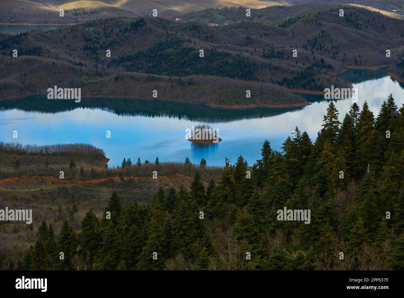 A scenic vista featuring a lush green hillside dotted with trees and a ...