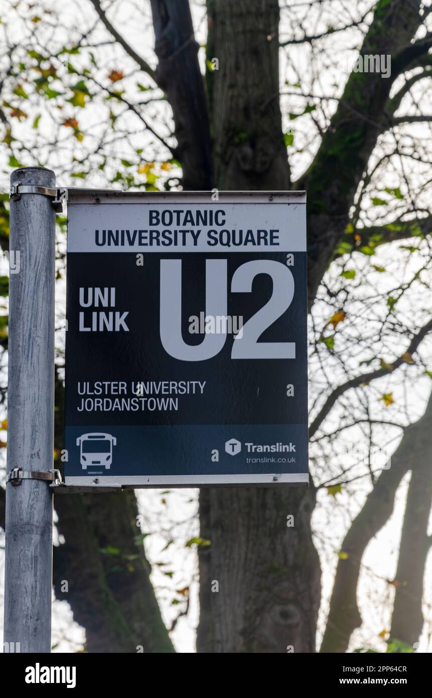 Botanic Ave Belfast County Down Northern Ireland, November 20 2022 - Bus stop sign with U2 as the stop number Stock Photo