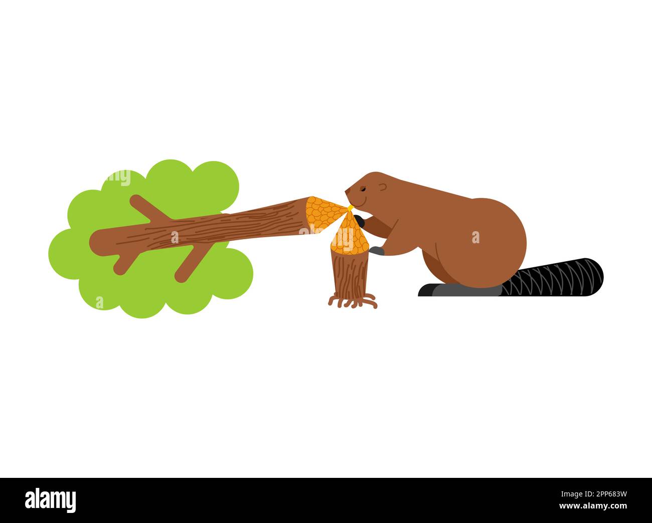 Beaver and tree. Swamp rodent and dam Stock Vector Image & Art Alamy