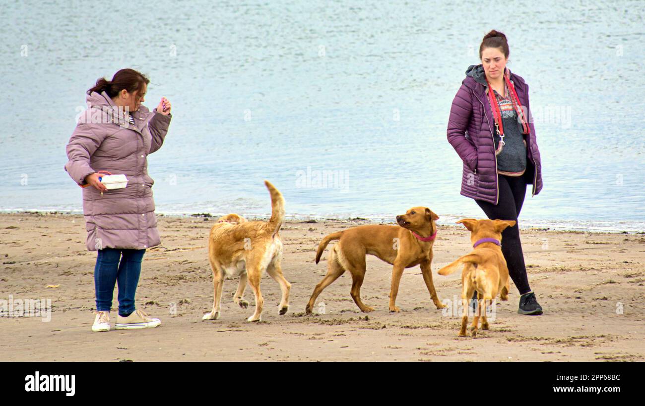 Ayr, Scotland, UK 22nd , April, 2023. UK Weather Sunny Ayr beach saw