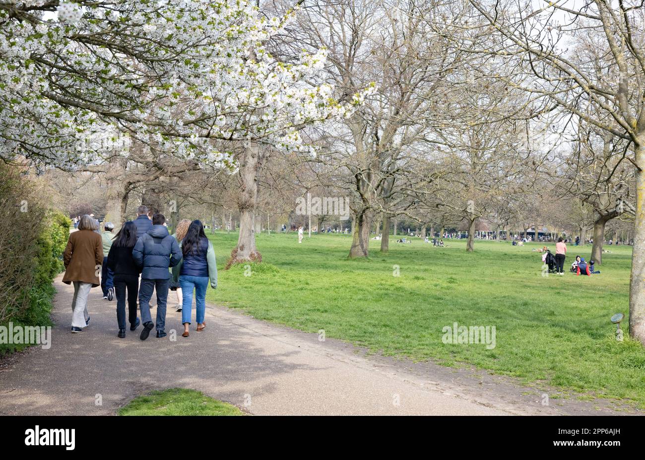 Group of people walking in a park on a sunny day in spring; Walpole Park, Ealing, London UK lifestyle Stock Photo