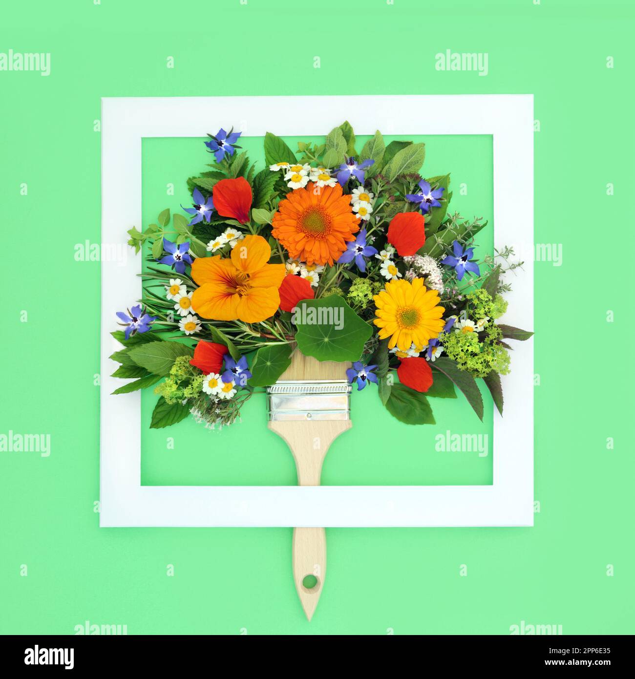 Surreal tree concept shape of summer flowers herbs and wildflowers