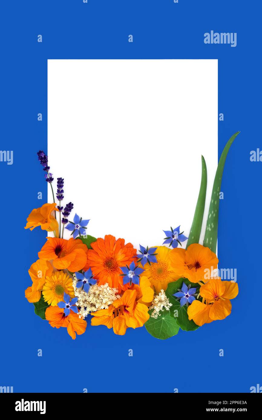 Herbs and flowers alternative herbal plant medicine ingredients for