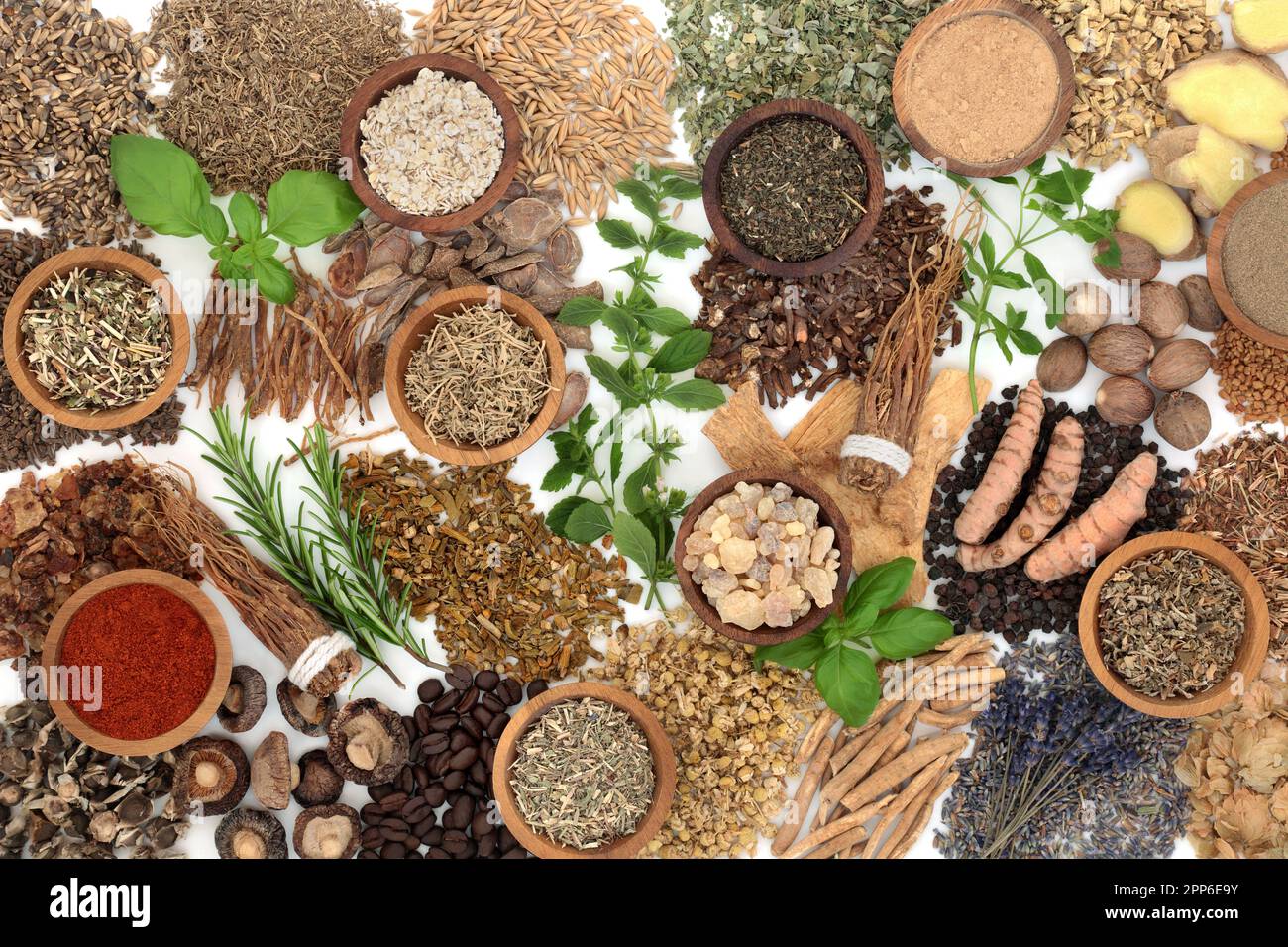 Natural nervine alternative health food. Herbal medicine collection to