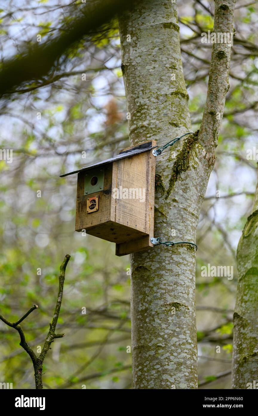 Proving nesting habitat hi-res stock photography and images - Alamy