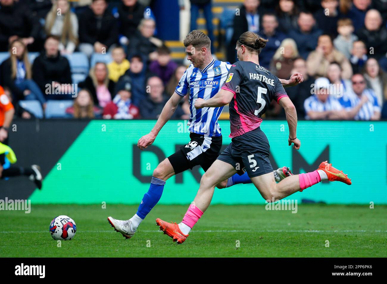 Alex Hartridge #5 of Exeter City and Michael Smith #24 of Sheffield ...