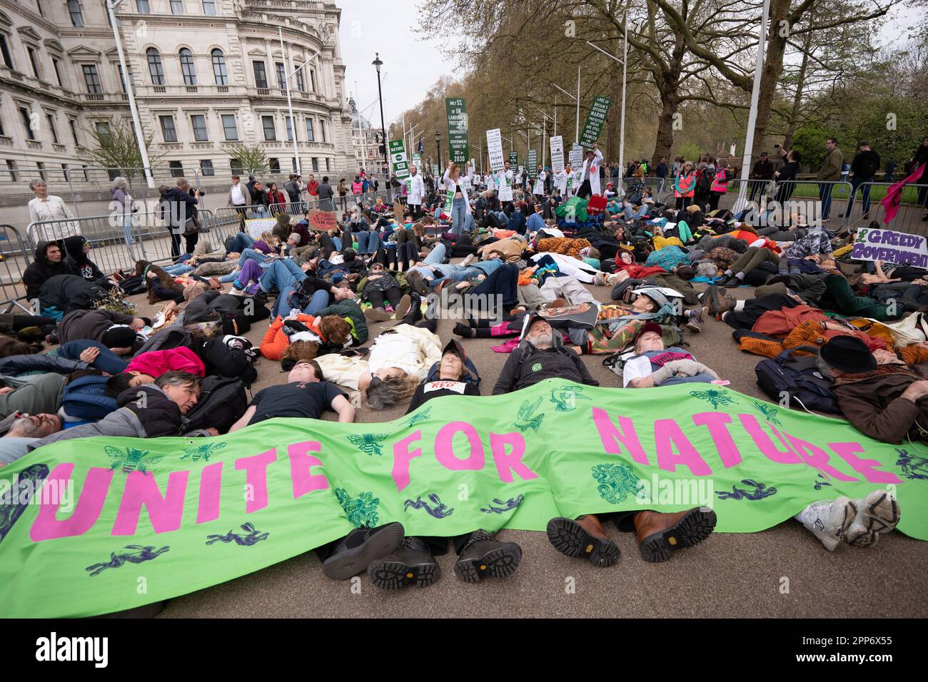 London, UK . 22nd Apr, 2023. The 'die in' at Extinction Rebellion Horse Guards Rd, The Big one, day 2 ,( saturday). Involved the 'Big One march for biodiversity'which ended with a 'die in'. Members of the 'Red Rebel Brigade 'and 'Green spirits' attended, 22 April 2023.London United KIngdom Picture garyroberts/worldwidefeatures.com Credit: GaryRobertsphotography/Alamy Live News Credit: GaryRobertsphotography/Alamy Live News Stock Photo