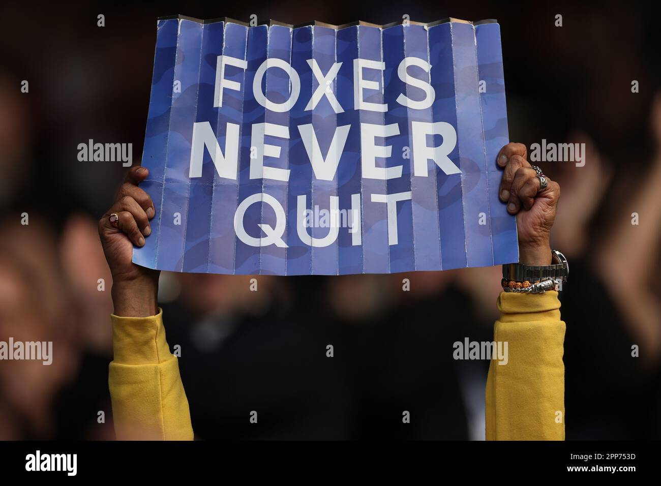 Foxes never quit hires stock photography and images Alamy