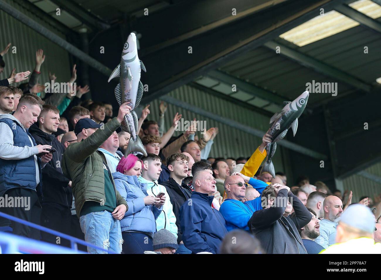 Birkenhead, UK. 22nd Apr, 2023. Grimsby Town fans with inflatable fish
