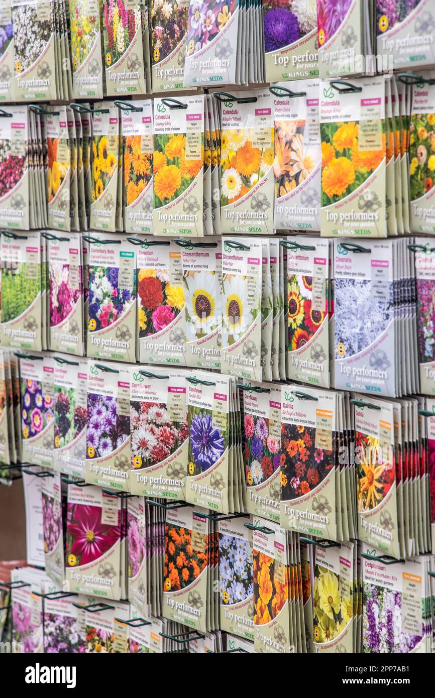 Flower seeds on sale, Wales, UK Stock Photo