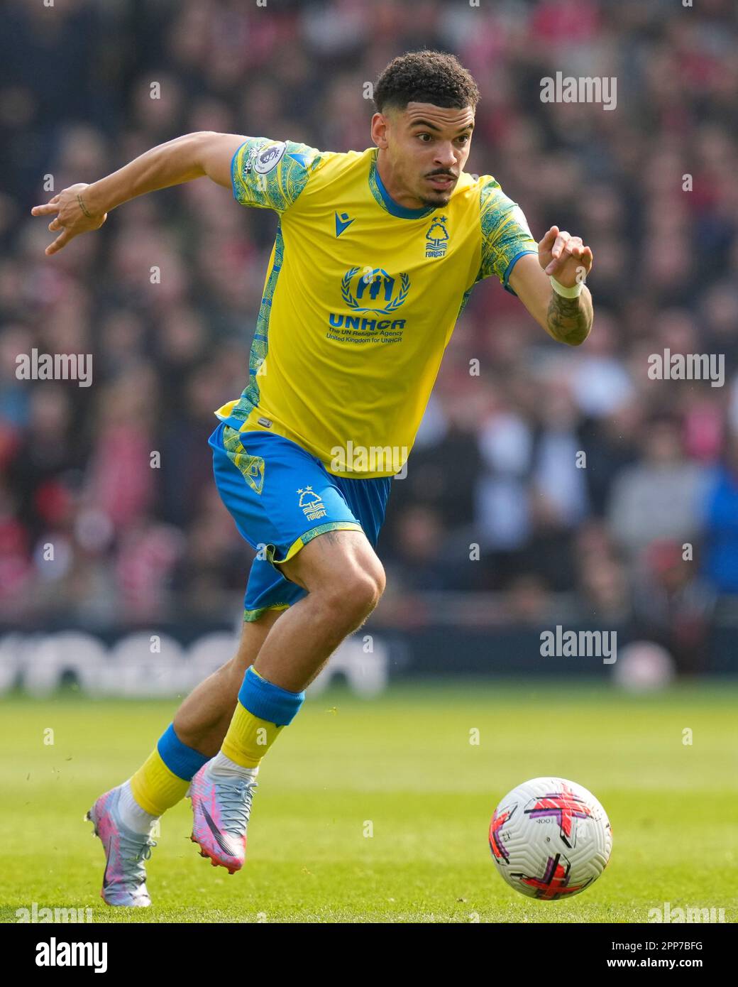 gibbs white 2023 hires stock photography and images Alamy