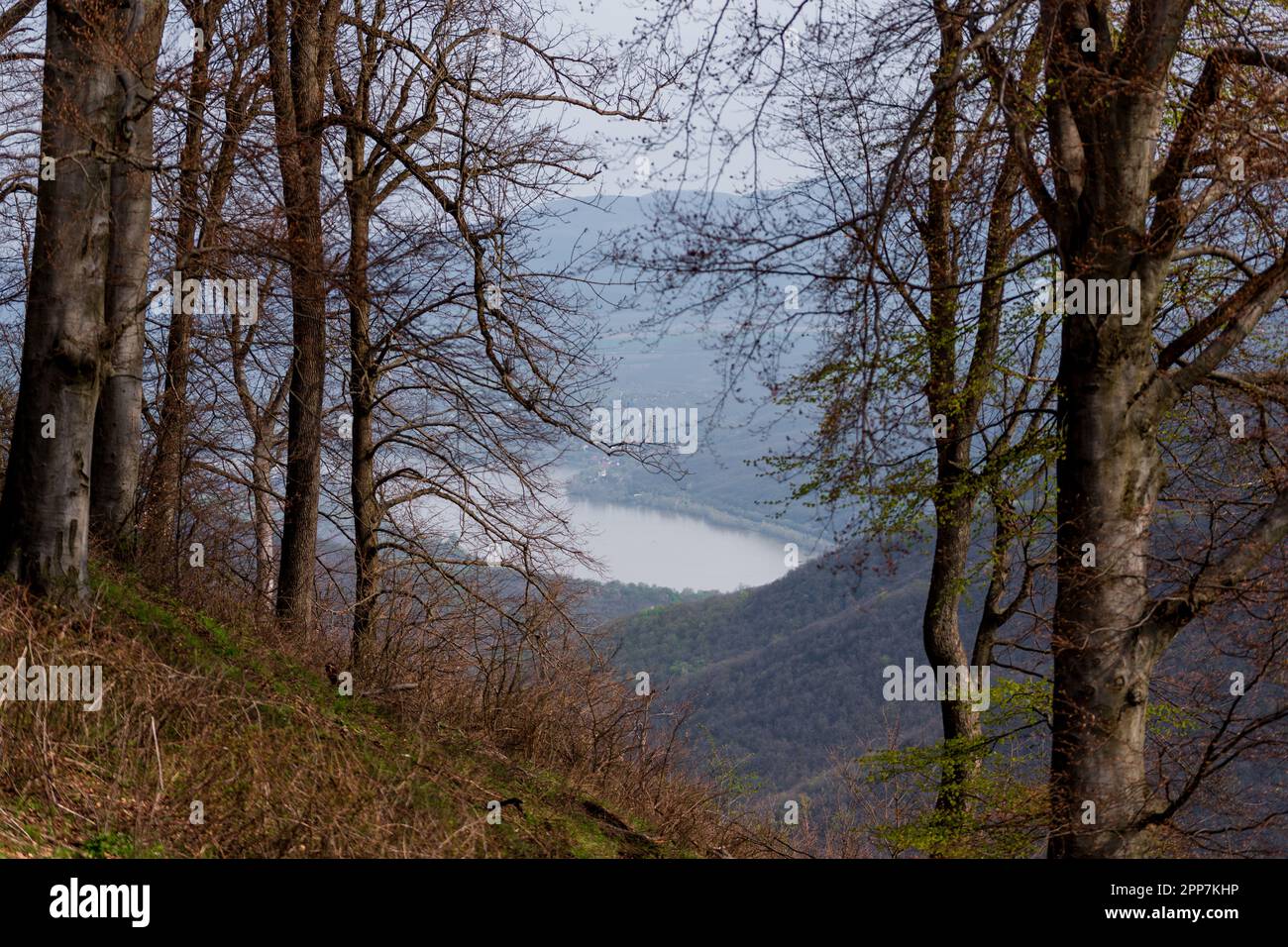 View of the hungarian landscape and the Danube in spring. Stock Photo