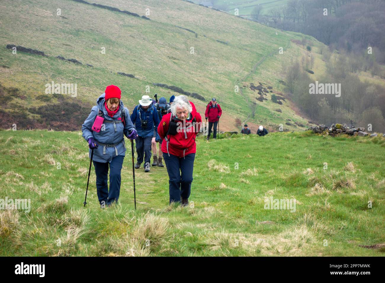 Members of the Sandbach U3A long walking group enjoying rambling in the Peak District hills above the Derbyshire town of Buxton England Stock Photo