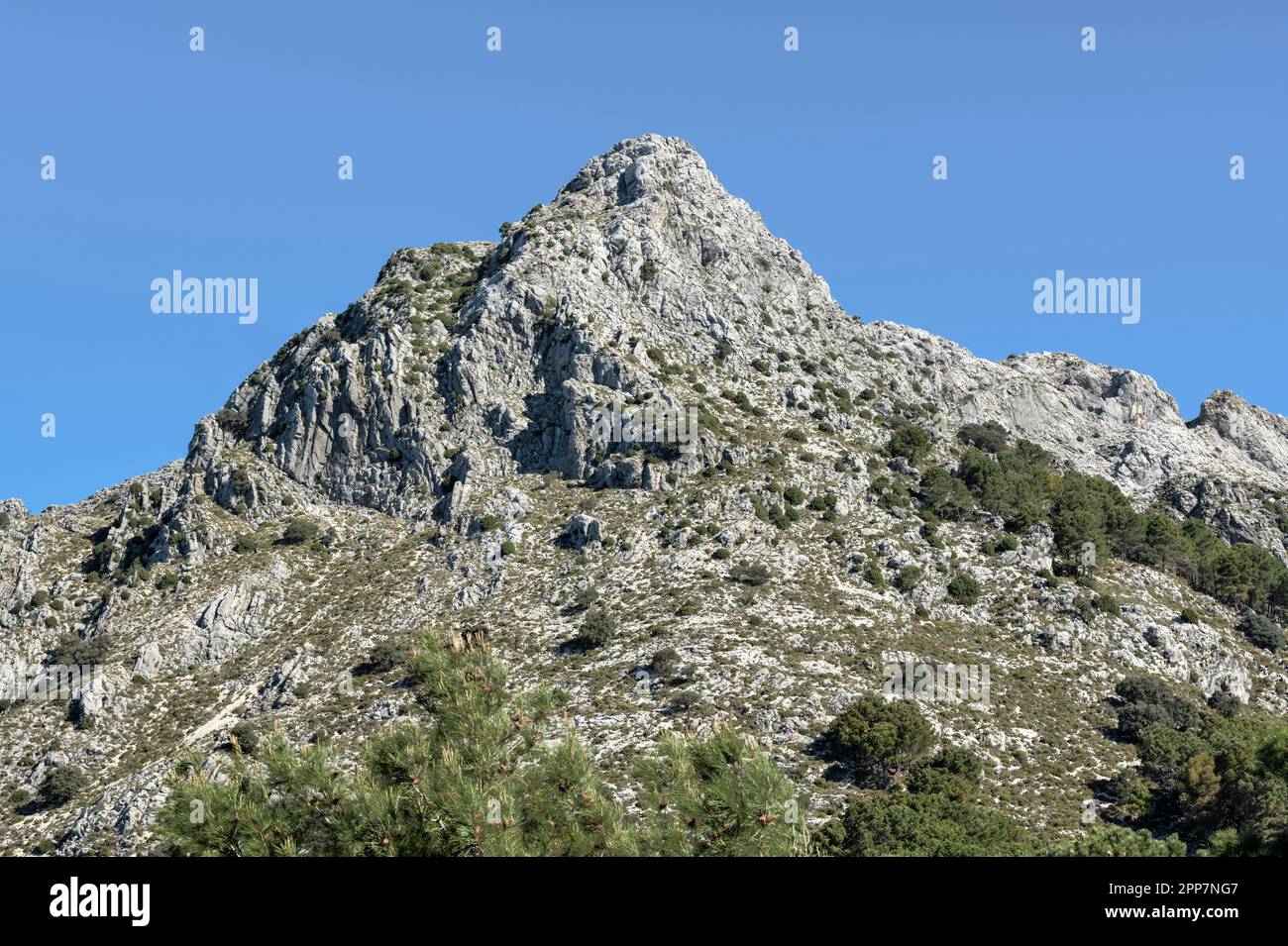 Parque Nacional De La Sierra De Grazalema Provincia De Cadiz 