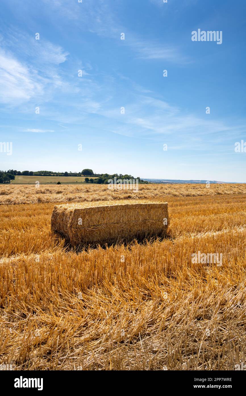Square straw bale in a field on a sunny summer aternoon, Wiltshire, England Stock Photo Alamy