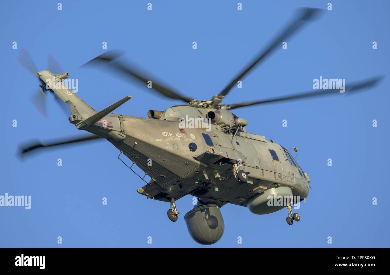Merlin MK2 Airbourne Surveillance and Control (ASAC) Helicopter in the circuit at RNAS Culdrose Stock Photo