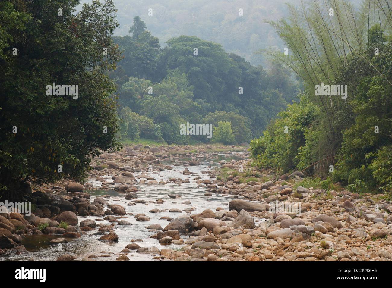 natural beautiful forest and river with pebble stone in kerala Stock