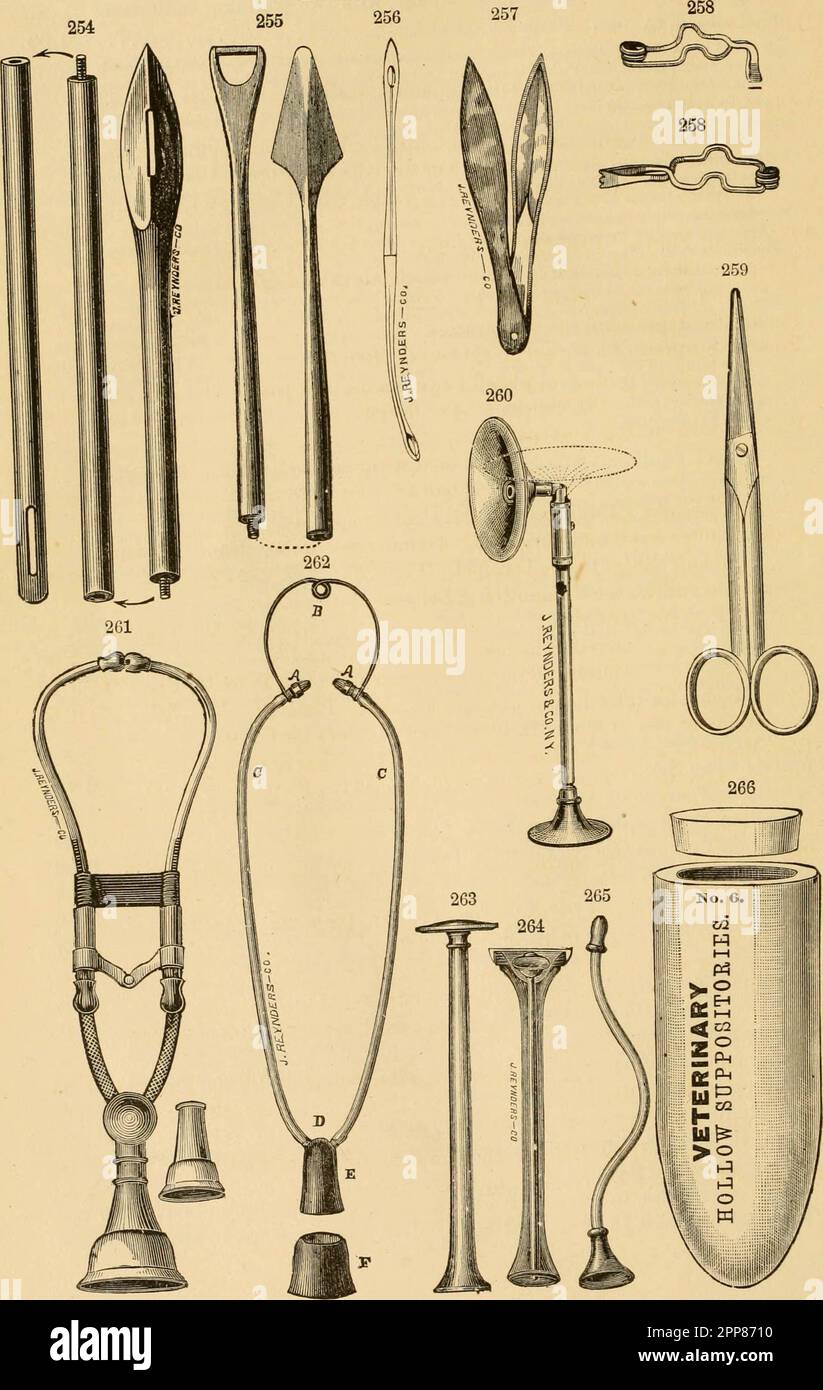 Veterinary Instruments Labelled