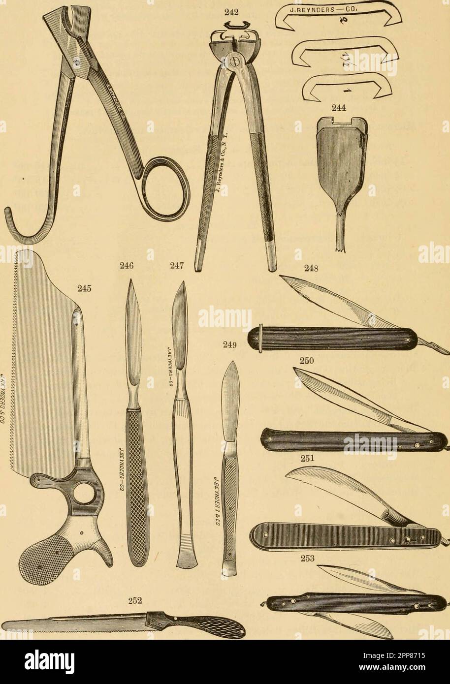 Veterinary Instruments Labelled
