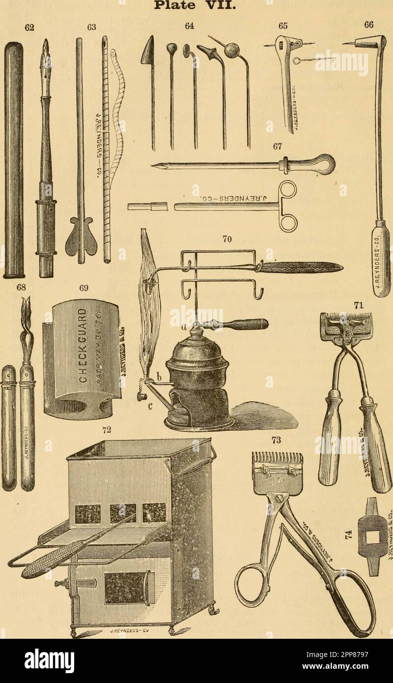 Veterinary Instruments Labelled