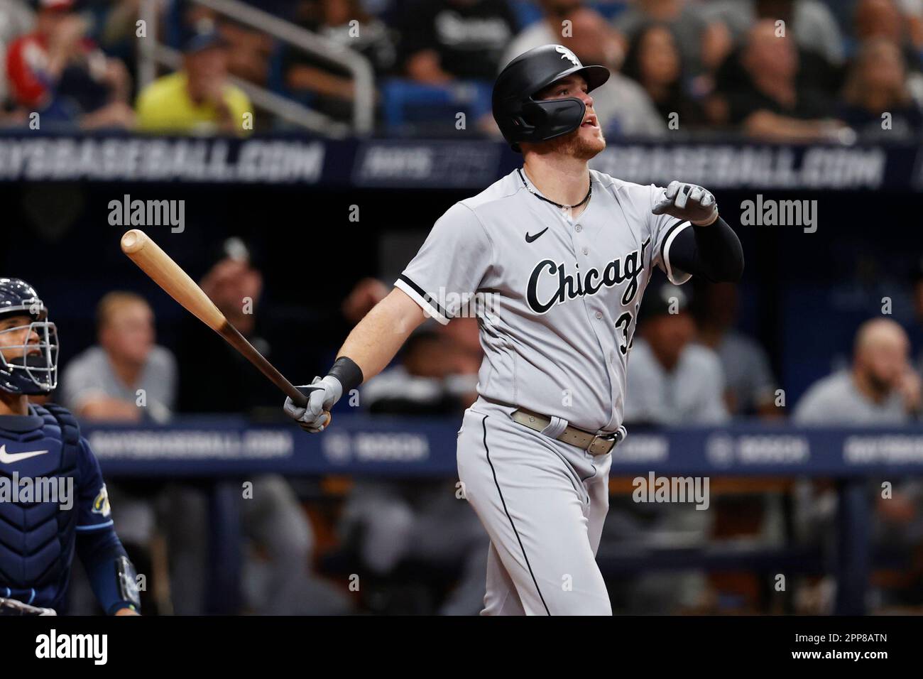 Chicago White Sox's Gavin Sheets watches the ball after hitting home run  against the Tampa Bay Rays during the eighth inning of a baseball game  Saturday, April 22, 2023, in St. Petersburg
