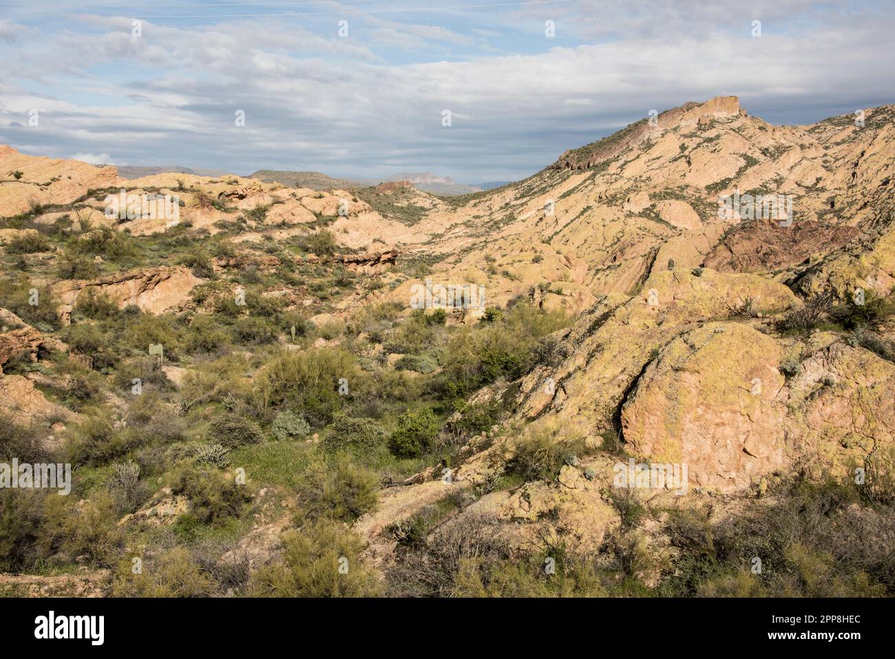 Scenic landscape view along historic Apache Trail to Tortilla Flat