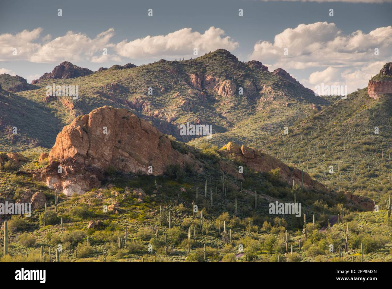 Scenic landscape view along historic Apache Trail to Tortilla Flat