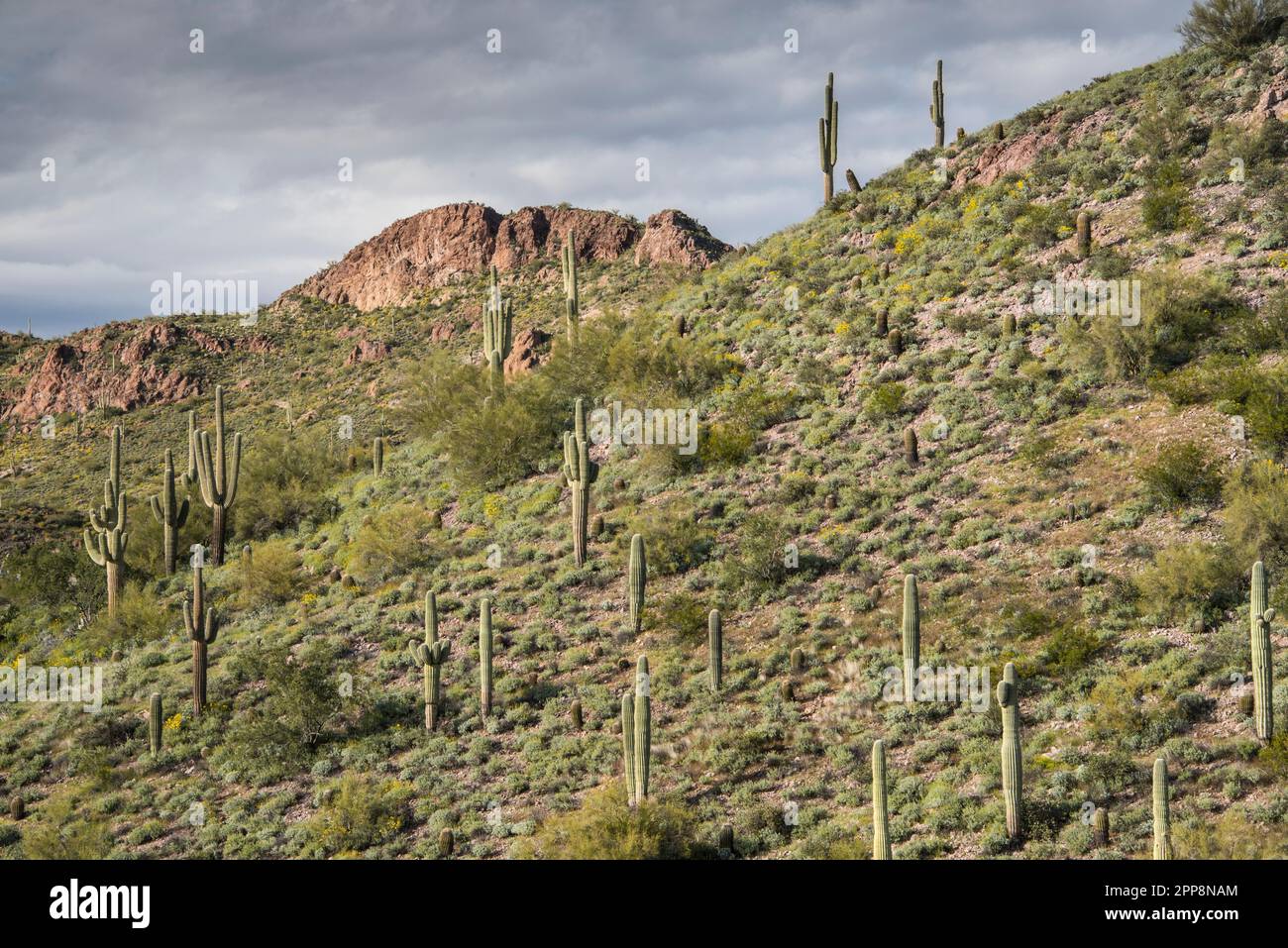 Scenic landscape view along historic Apache Trail to Tortilla Flat