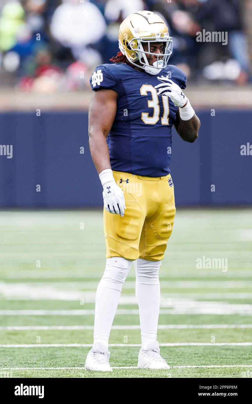 South Bend, Indiana, USA. 22nd Apr, 2023. Notre Dame defensive lineman Nana Osafo-Mensah (31) during the Notre Dame Annual Blue-Gold Spring football game at Notre Dame Stadium in South Bend, Indiana. Gold defeated Blue 24-0. John Mersits/CSM/Alamy Live News Stock Photo
