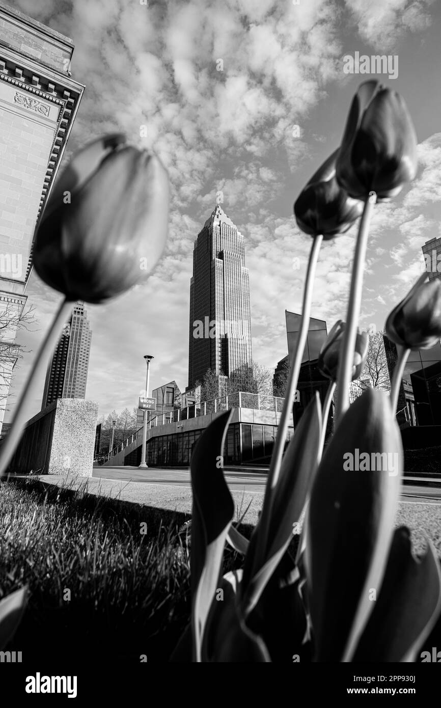 Cleveland Ohio in Spring with Tulips Stock Photo - Alamy