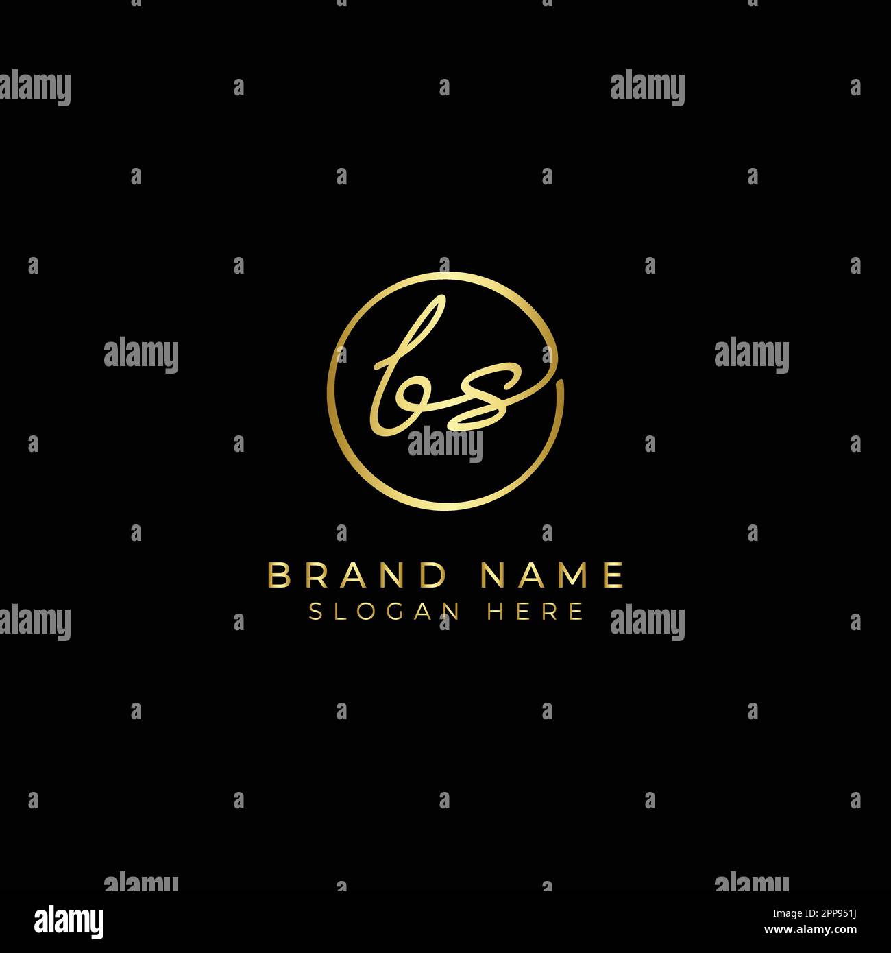 B, S, BS Initial letter handwritten and signature vector logo. Business template in round shape line art Stock Vector