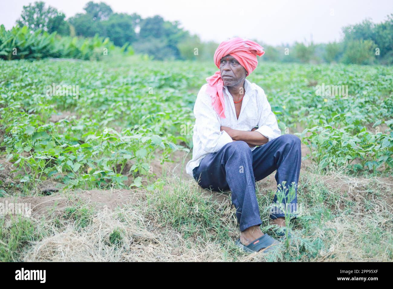 Loss of farmer hires stock photography and images Alamy