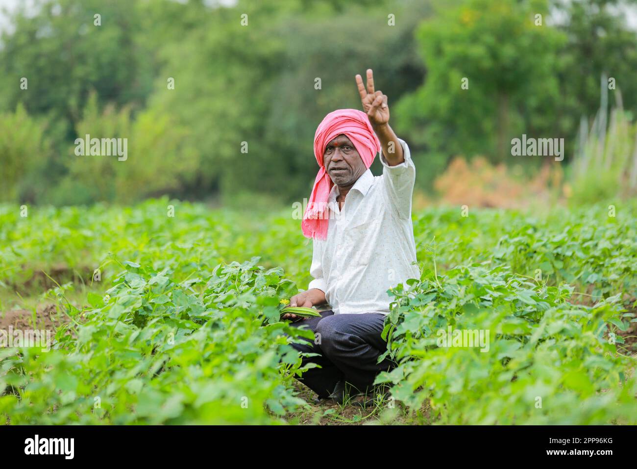 Indian happy farmer holding mobile in hand Stock Photo