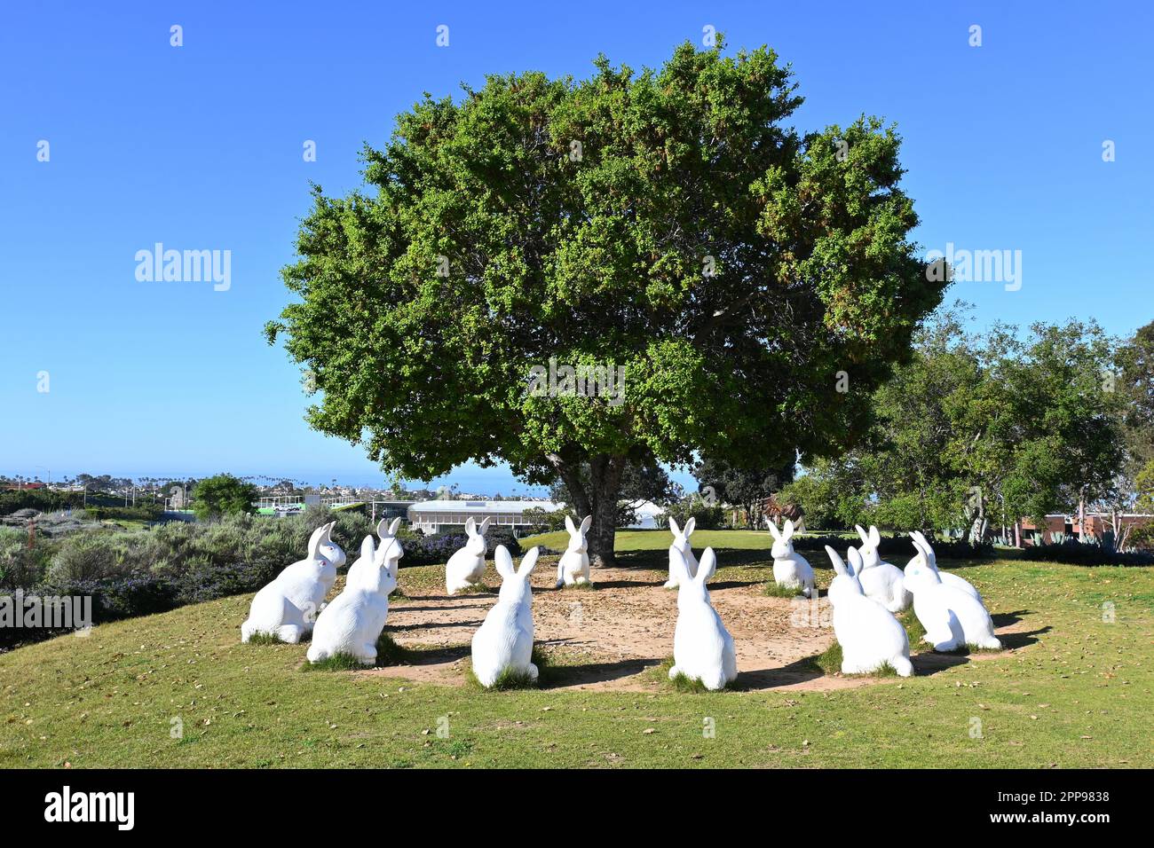 NEWPORT BEACH, CALIFORNIA - 22 APR 2023: Bunnyhenge in Civic Center Park, a public art display of 14 large white bunnies, arranged in a circle. Stock Photo