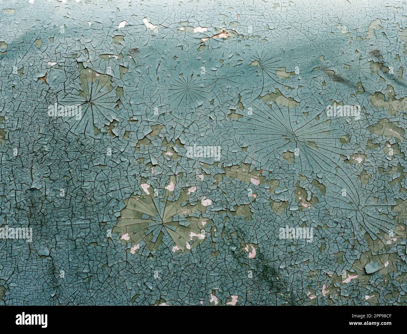 Old car paint cracked green color crack Stock Photo Alamy