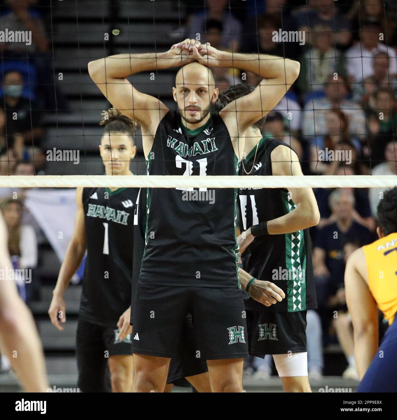 April 22, 2023 - Hawaii Rainbow Warriors Guilherme Voss #21 during the Big West Conference Championship match between the UC Irvine Anteaters and the Hawaii Rainbow Warriors at the Bren Events Center in Irvine, CA - Michael Sullivan/CSM Stock Photo