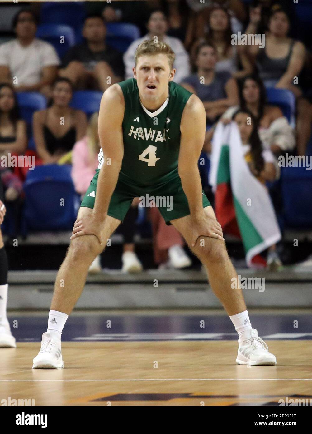 April 22, 2023 - Hawaii Rainbow Warriors Brett Sheward #4 during the Big West Conference Championship match between the UC Irvine Anteaters and the Hawaii Rainbow Warriors at the Bren Events Center in Irvine, CA - Michael Sullivan/CSM Stock Photo