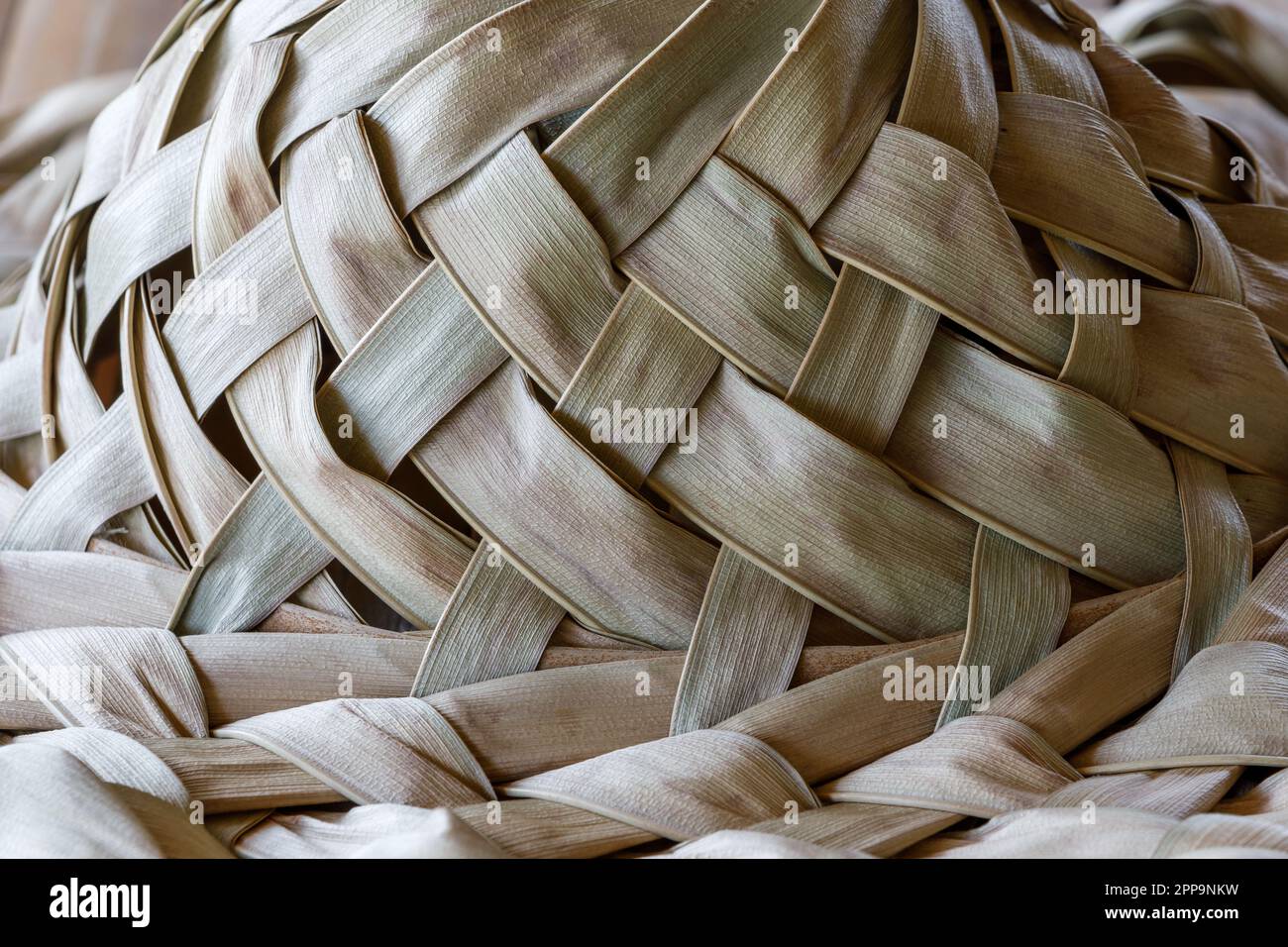 Beginners Weaving Palm Leaves