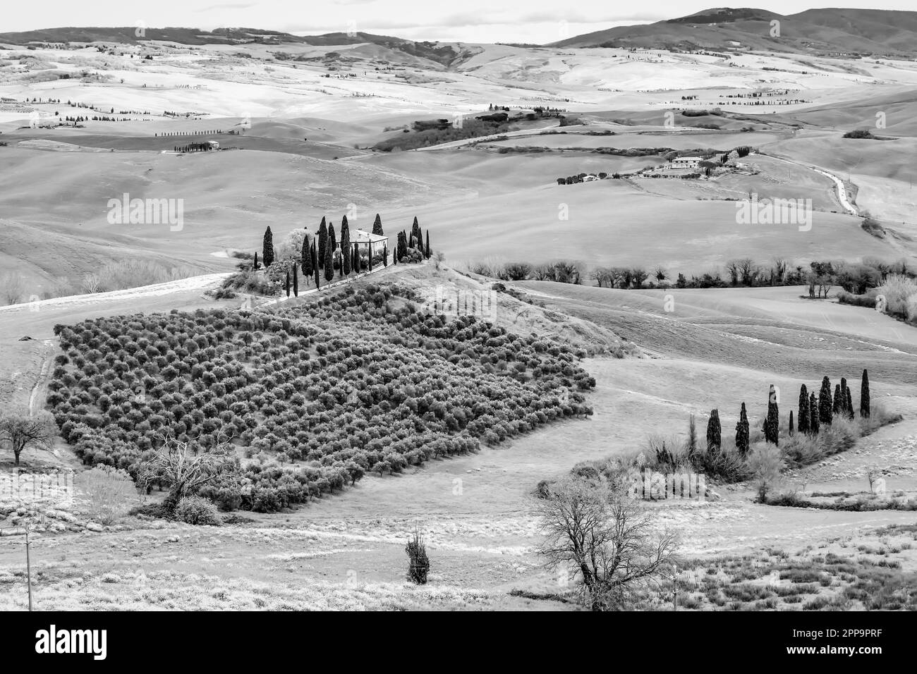 Black and white view of a typical glimpse of the Tuscan countryside south of Siena, Italy Stock Photo