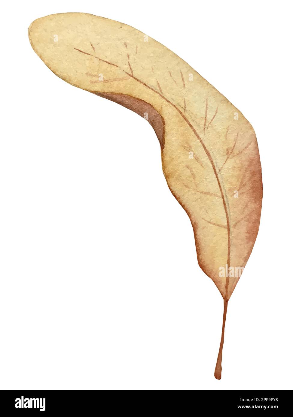 Watercolor vector autumn set. Decorations with forest leaves and mushrooms. Stock Vector