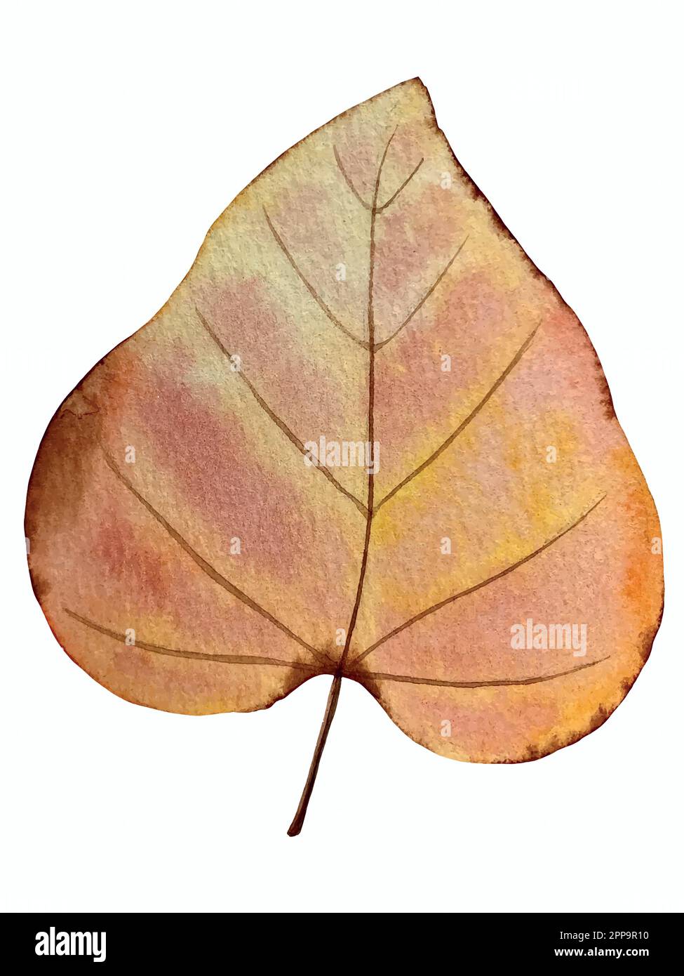 Watercolor vector autumn set. Decorations with forest leaves and mushrooms. Stock Vector