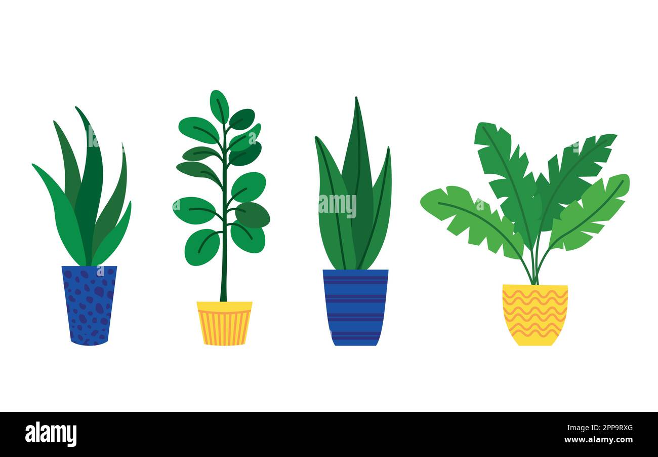 Set of indoor plants in pots in a flat style Stock Vector Image & Art ...