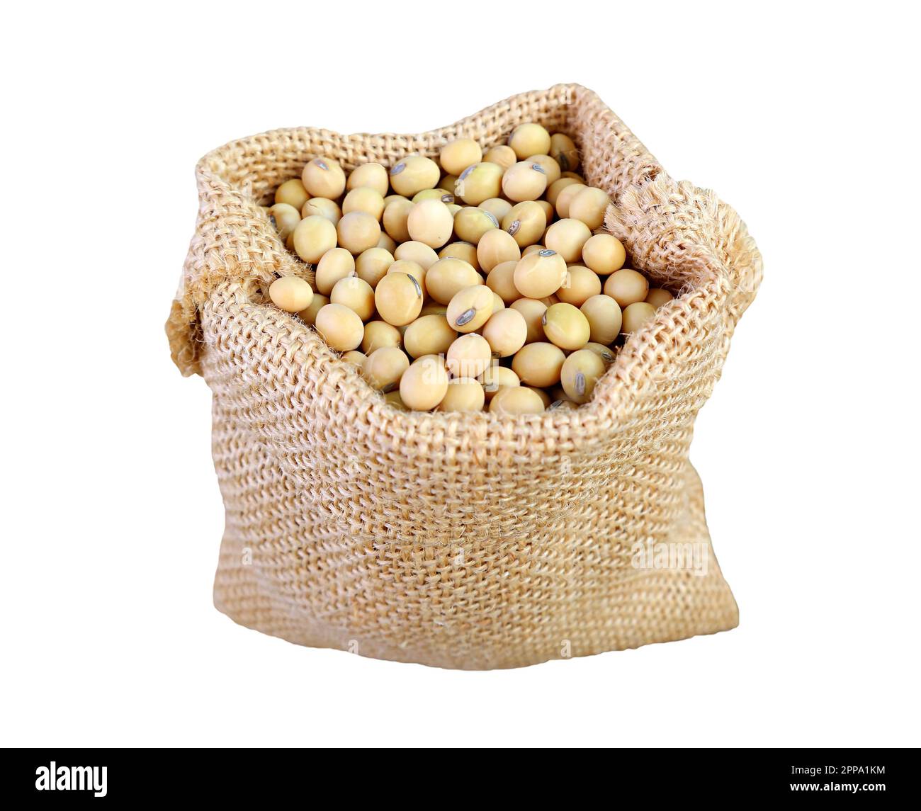 Dried Soybeans in a Burlap Bag Isolated on white background Stock Photo