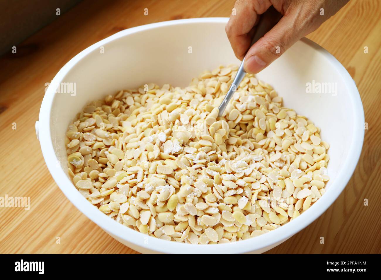 Process of Mix Powdered Tempeh Starter with Boiled Soybeans Stock Photo