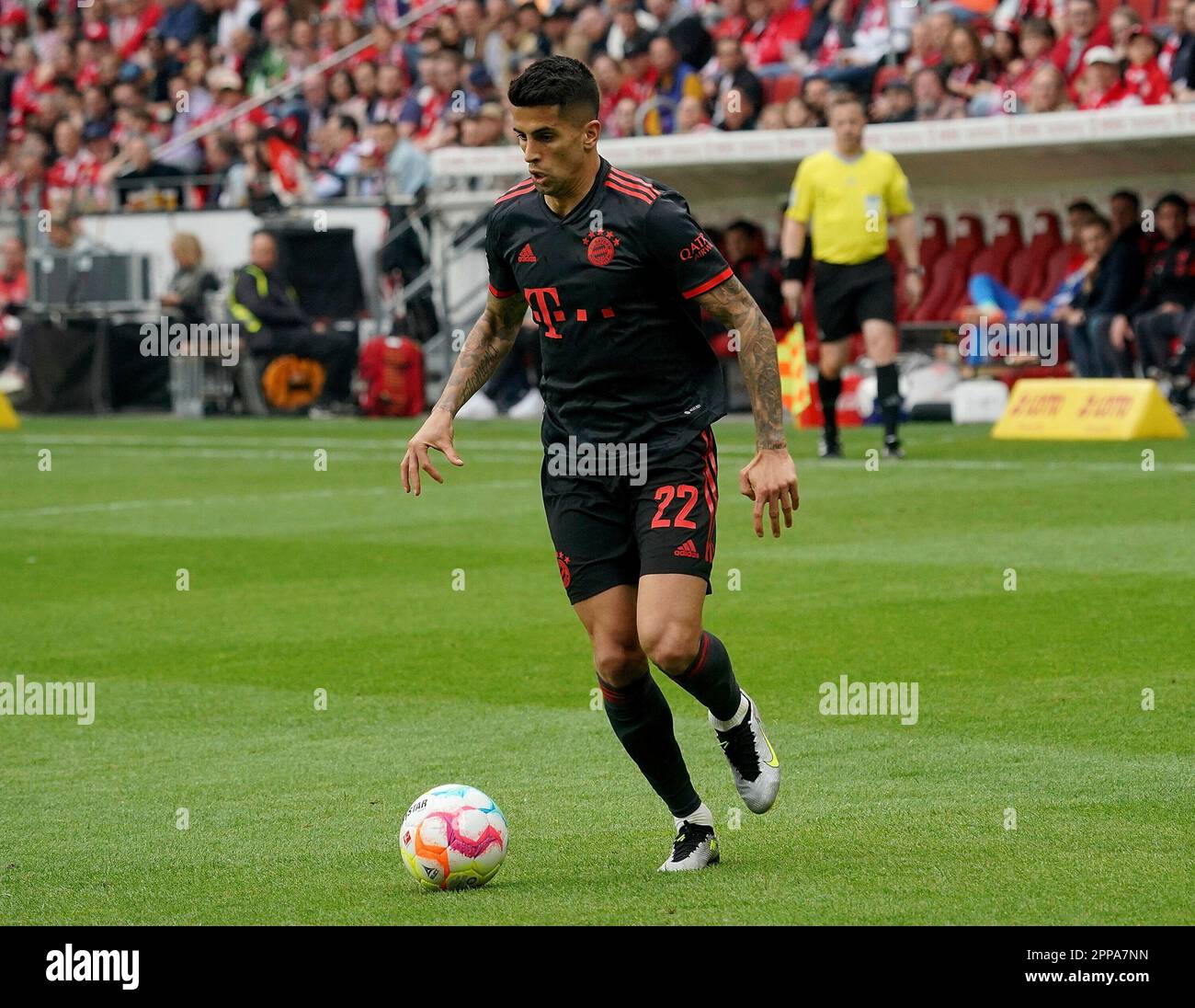 April 22, 2023, MEWA Arena, Mainz, GER, 1.FBL, 1.FSV FSV FSV Mainz 05 vs FC Bayern Munich, DFL regulations prohibit any use of photographs as image sequences and/or quasi-video. in the picture Joao Cancelo (Munich) Stock Photo